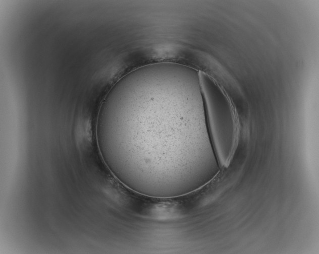 X0000112920700200908241226