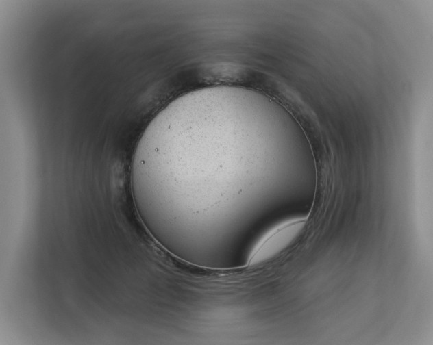 X0000112920701200908241226