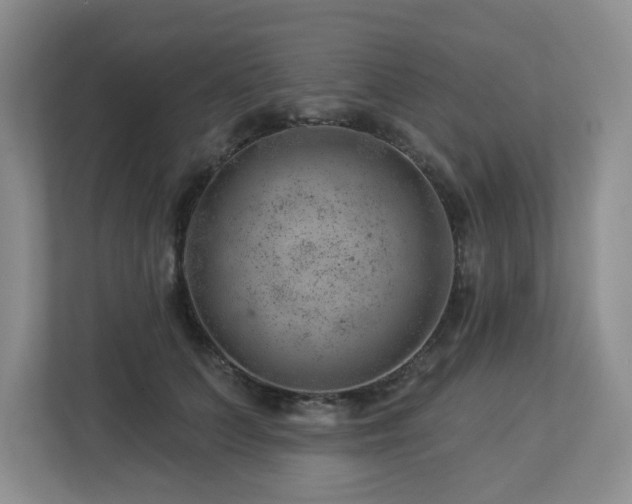 X0000112920703200908241226