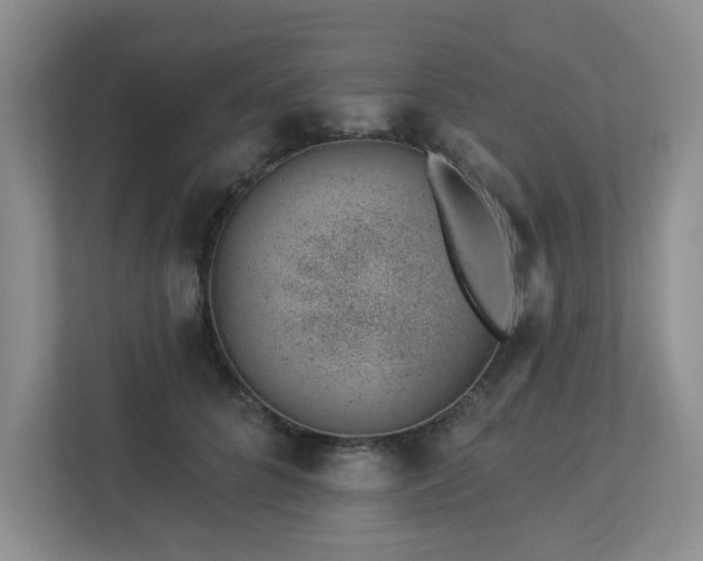 X0000112920704200908241226