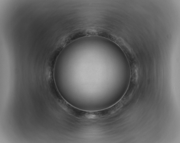 X0000112920706200908241226