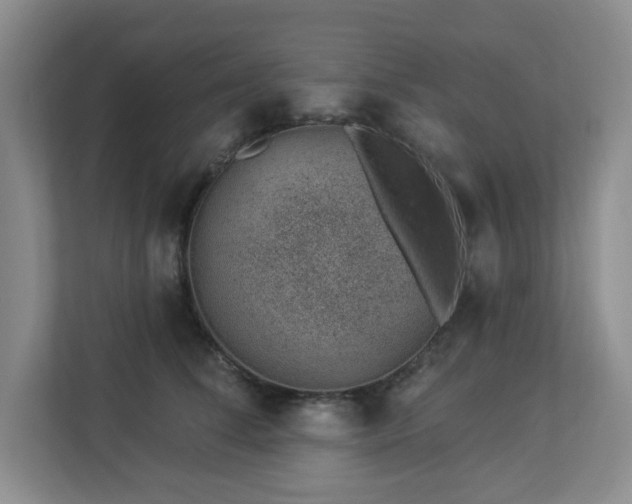 X0000112920708200908241226