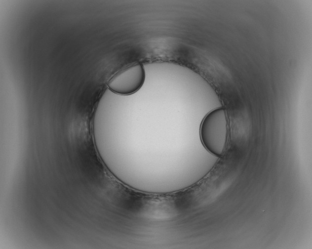 X0000112920709200908241226
