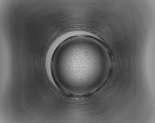 X0000112920712200908241226
