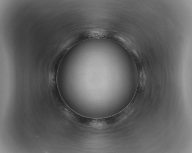 X0000112920714200908241226