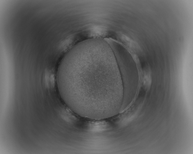 X0000112920716200908241226