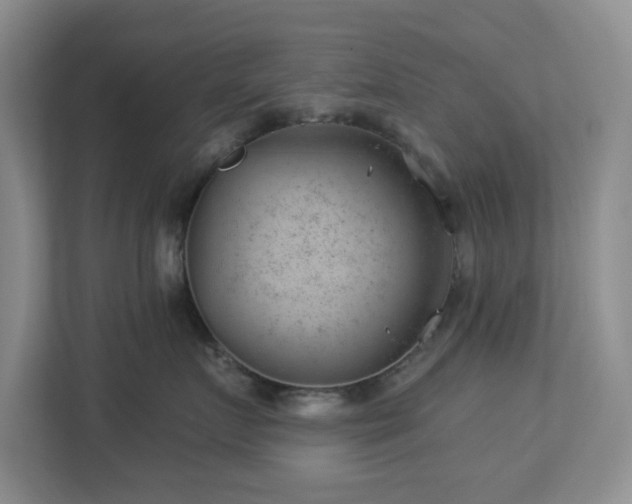 X0000112920719200908241226