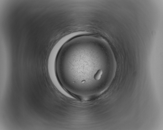 X0000112920720200908241226