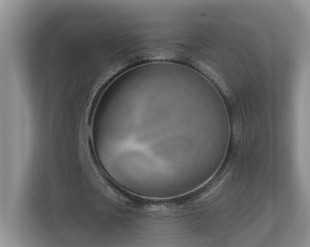 X0000112920721200908241225