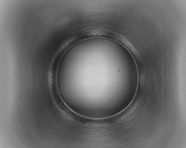 X0000112920722200908241225