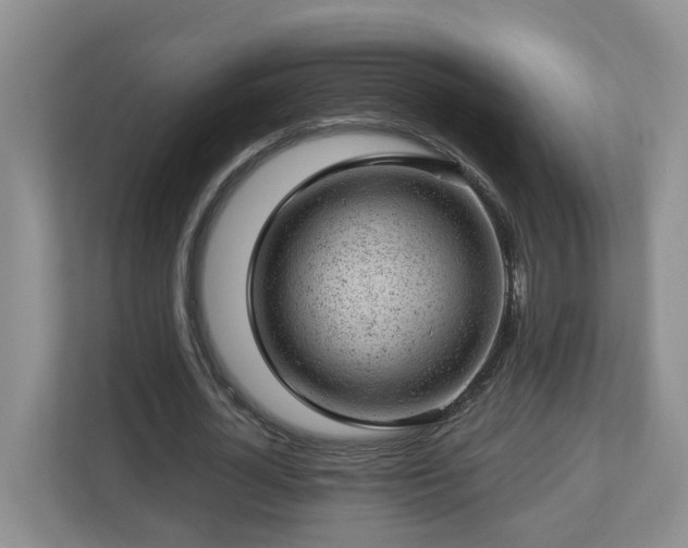 X0000112920724200908241225