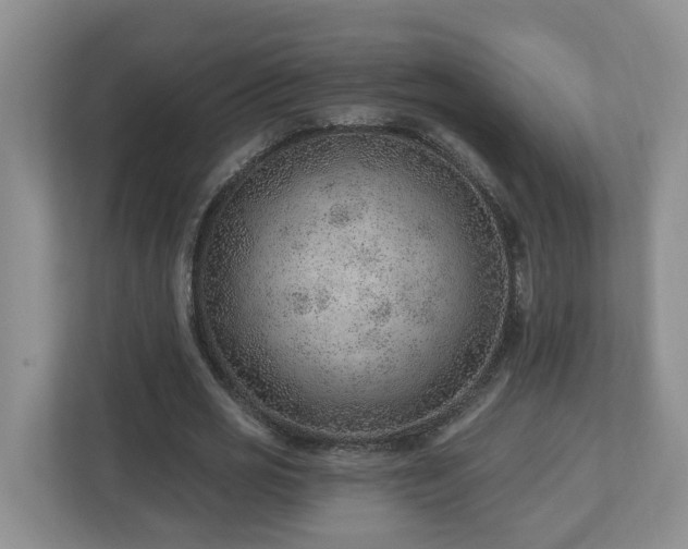 X0000112920725200908241225
