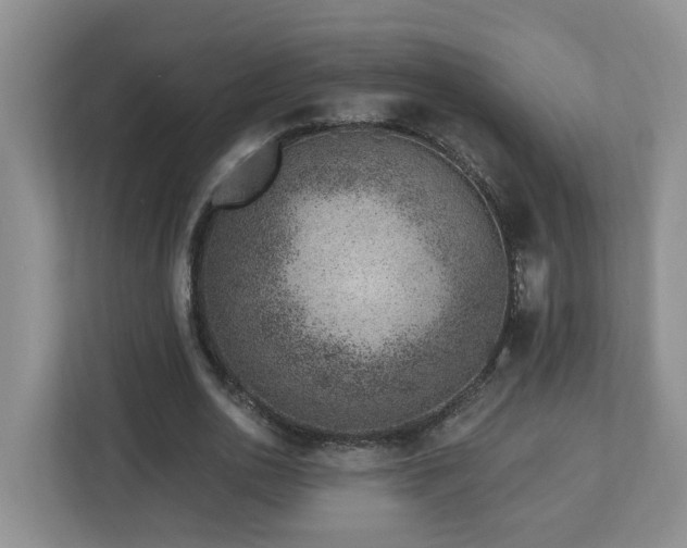 X0000112920726200908241225