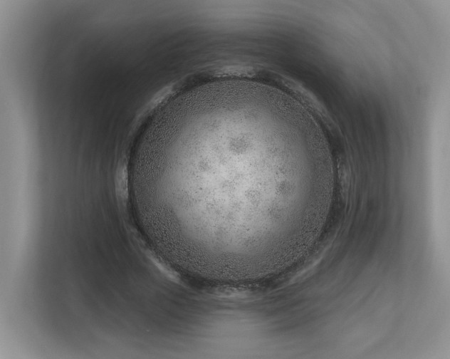 X0000112920729200908241225