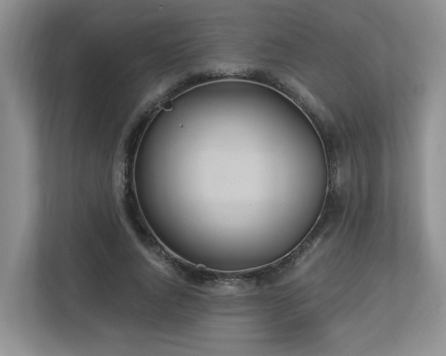 X0000112920736200908241226