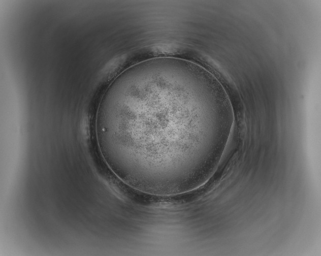 X0000112920738200908241226
