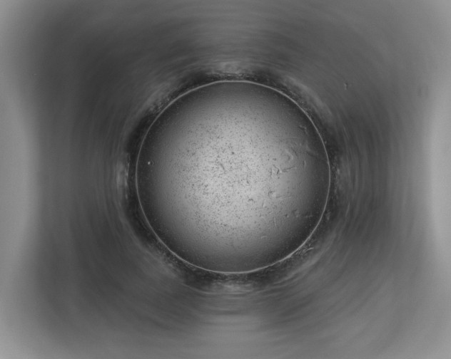 X0000112920739200908241226