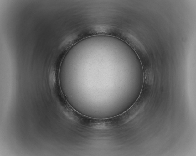 X0000112920740200908241226