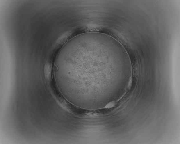 X0000112920742200908241226