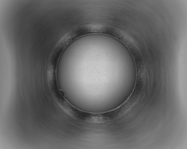 X0000112920744200908241226