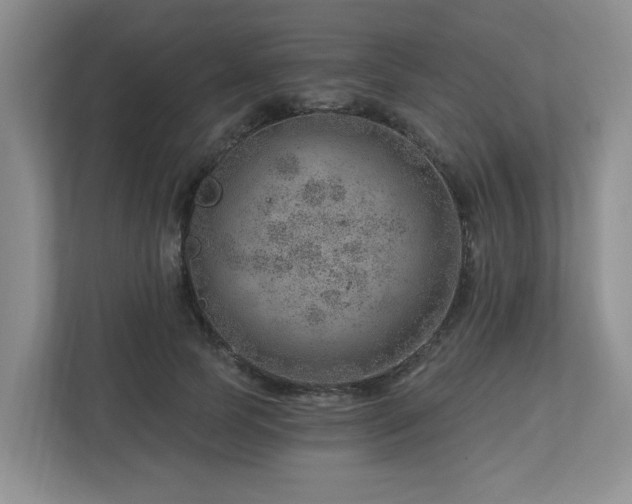 X0000112920745200908241226