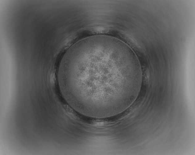 X0000112920746200908241226