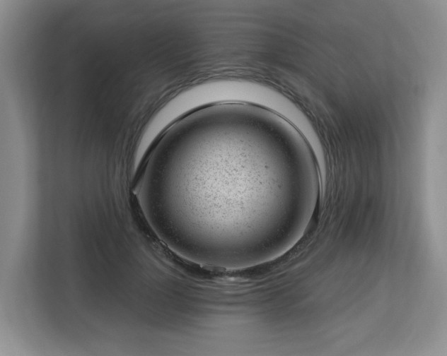 X0000112920748200908241226
