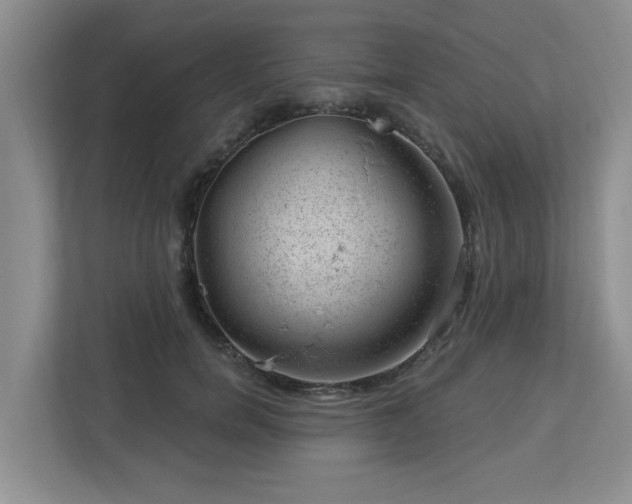 X0000112920750200908241226