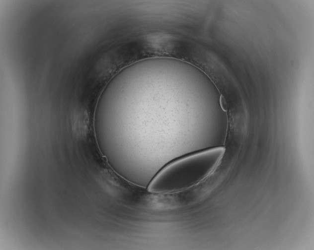 X0000112920752200908241226