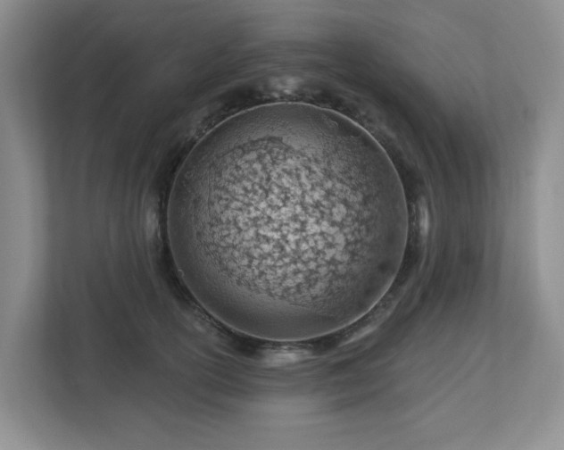 X0000112920754200908241226