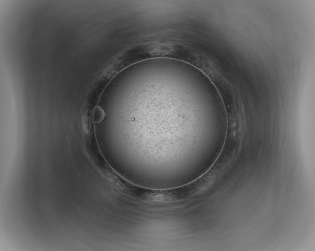 X0000112920755200908241226