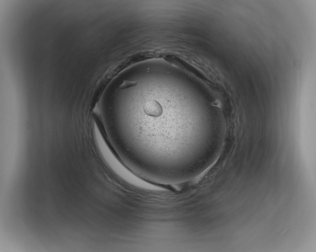 X0000112920756200908241226
