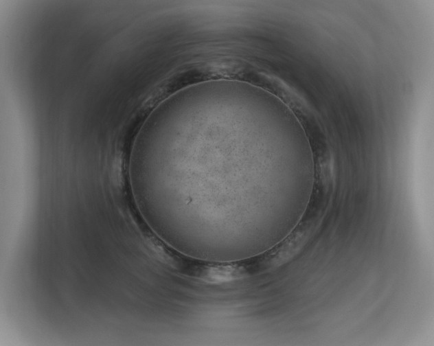 X0000112920757200908241226