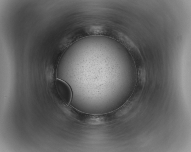 X0000112920760200908241226
