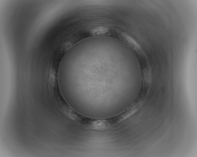 X0000112920761200908241226