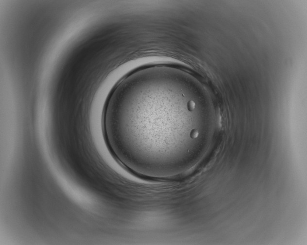 X0000112920764200908241226