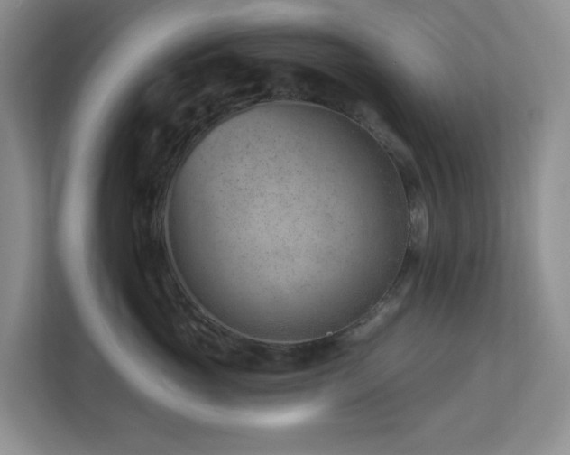 X0000112920765200908241226