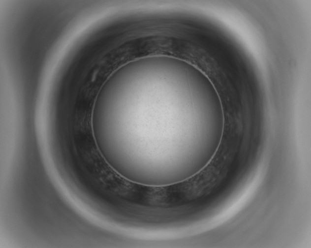 X0000112920767200908241226