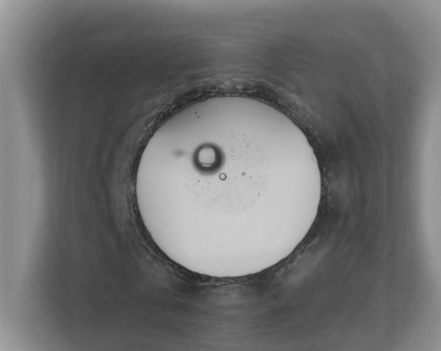 X0000112920769200908241225