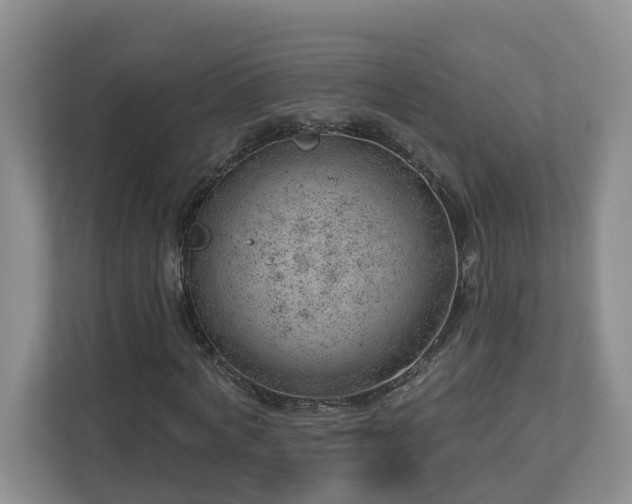 X0000112920772200908241225