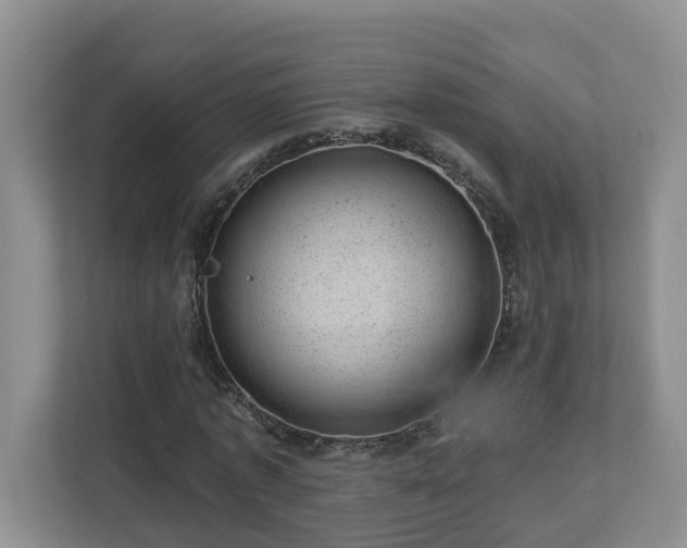 X0000112920773200908241225