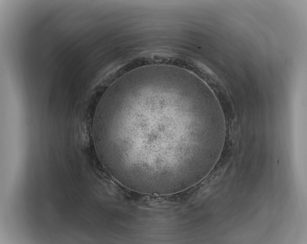 X0000112920774200908241225