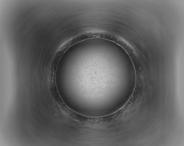 X0000112920775200908241225