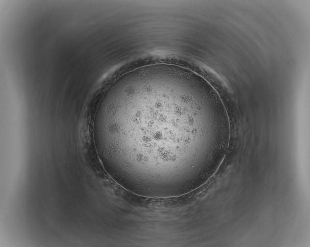 X0000112920776200908241225