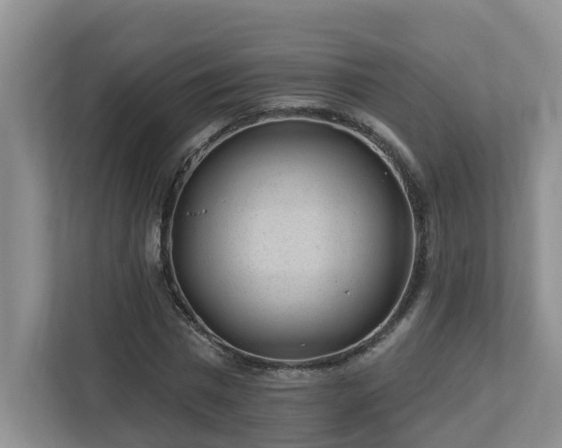 X0000112920777200908241225