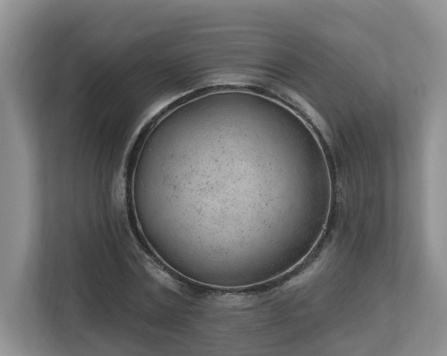 X0000112920779200908241225