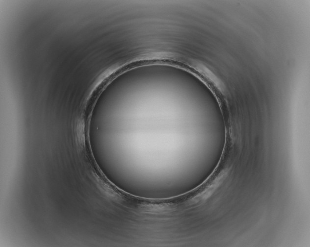 X0000112920781200908241225