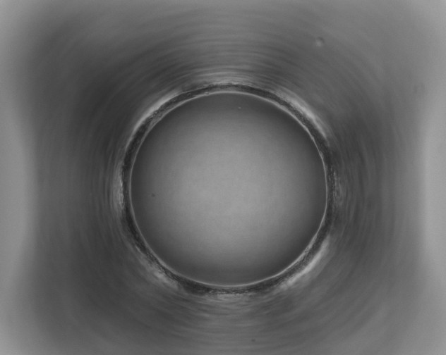 X0000112920782200908241225