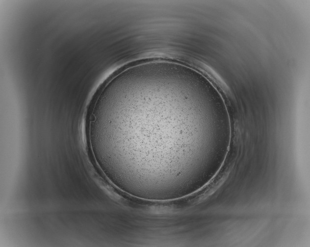 X0000112920788200908241225