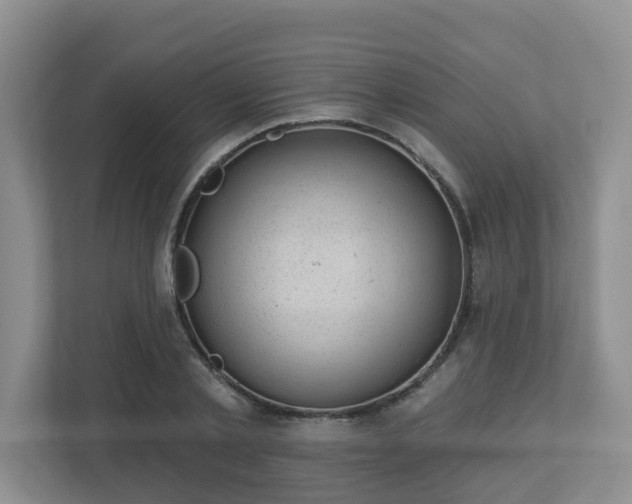 X0000112920789200908241225